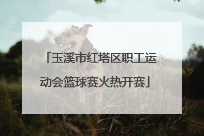 玉溪市红塔区职工运动会篮球赛火热开赛