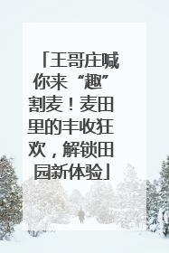王哥庄喊你来“趣”割麦！麦田里的丰收狂欢，解锁田园新体验