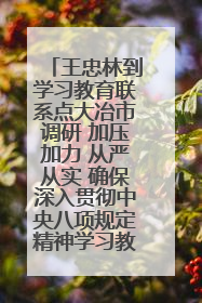王忠林到学习教育联系点大冶市调研 加压加力 从严从实 确保深入贯彻中央八项规定精神学习教育取得实效
