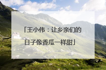 王小伟：让乡亲们的日子像香瓜一样甜