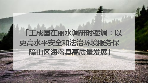王成国在丽水调研时强调：以更高水平安全和法治环境服务保障山区海岛县高质量发展