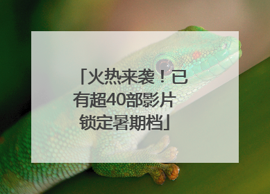 火热来袭！已有超40部影片锁定暑期档