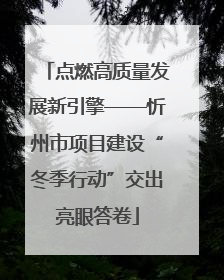 点燃高质量发展新引擎——忻州市项目建设“冬季行动”交出亮眼答卷