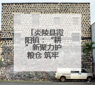 炎陵县霞阳镇：“耕”新聚力护粮仓 筑牢粮食安全“压舱石”