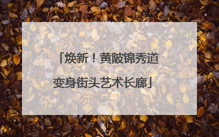 焕新！黄陂锦秀道变身街头艺术长廊