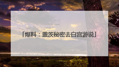 爆料：盖茨秘密去白宫游说