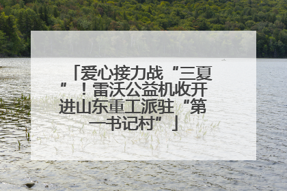 爱心接力战“三夏”！雷沃公益机收开进山东重工派驻“第一书记村”
