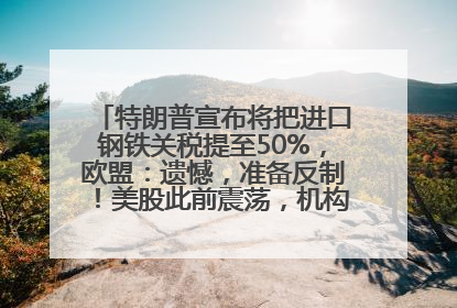 特朗普宣布将把进口钢铁关税提至50%，欧盟：遗憾，准备反制！美股此前震荡，机构：美元正进入熊市
