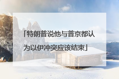 特朗普说他与普京都认为以伊冲突应该结束