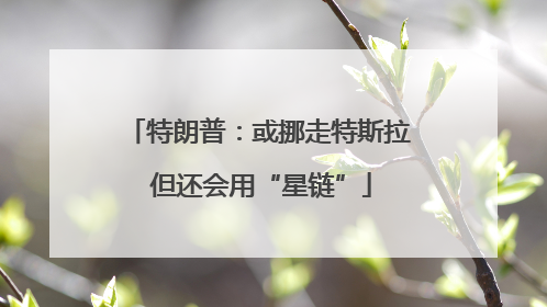 特朗普：或挪走特斯拉 但还会用“星链”