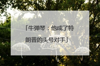 牛弹琴：他成了特朗普的头号对手