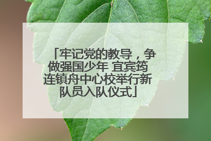 牢记党的教导，争做强国少年 宜宾筠连镇舟中心校举行新队员入队仪式