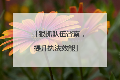 狠抓队伍督察，提升执法效能