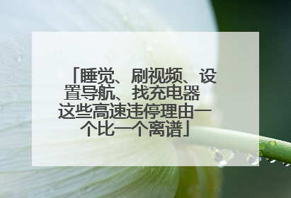 睡觉、刷视频、设置导航、找充电器 这些高速违停理由一个比一个离谱