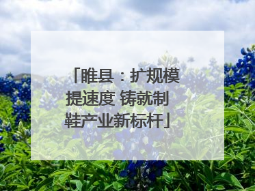 睢县：扩规模提速度 铸就制鞋产业新标杆