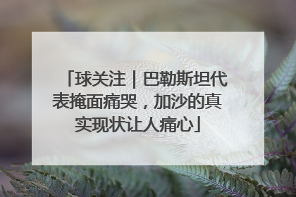 球关注｜巴勒斯坦代表掩面痛哭，加沙的真实现状让人痛心