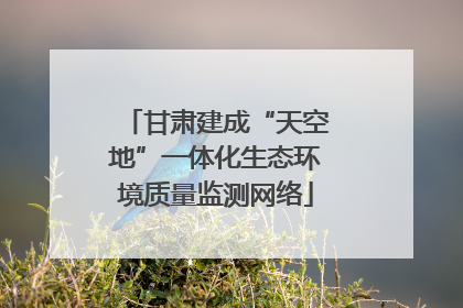 甘肃建成“天空地”一体化生态环境质量监测网络