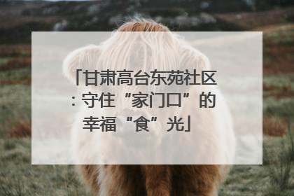 甘肃高台东苑社区：守住“家门口”的幸福“食”光