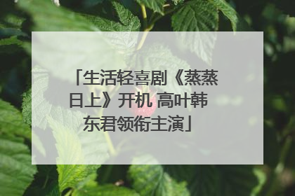 生活轻喜剧《蒸蒸日上》开机 高叶韩东君领衔主演