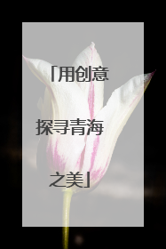 用创意探寻青海之美