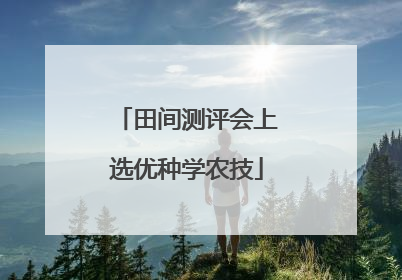 田间测评会上选优种学农技