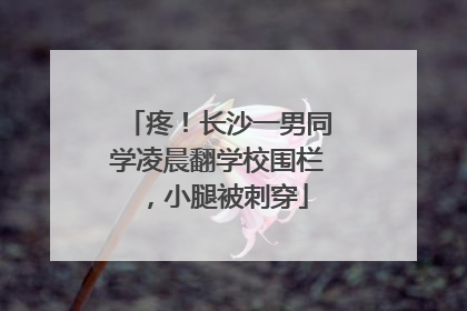 疼！长沙一男同学凌晨翻学校围栏，小腿被刺穿