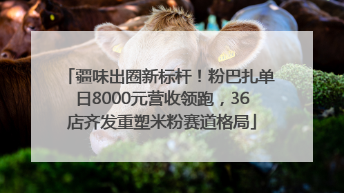 疆味出圈新标杆！粉巴扎单日8000元营收领跑，36店齐发重塑米粉赛道格局
