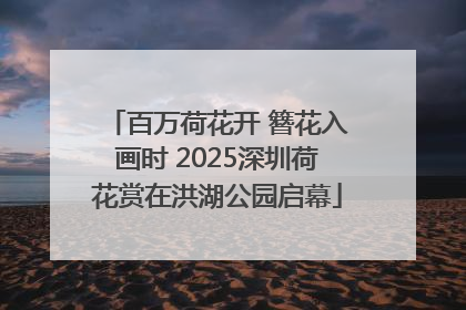 百万荷花开 簪花入画时 2025深圳荷花赏在洪湖公园启幕