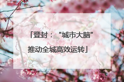 登封：“城市大脑”推动全城高效运转