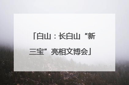 白山：长白山“新三宝”亮相文博会
