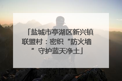 盐城市亭湖区新兴镇联盟村：密织“防火墙”守护蓝天净土