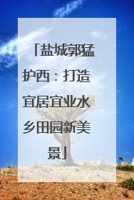 盐城郭猛护西：打造宜居宜业水乡田园新美景