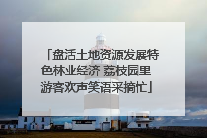 盘活土地资源发展特色林业经济 荔枝园里游客欢声笑语采摘忙