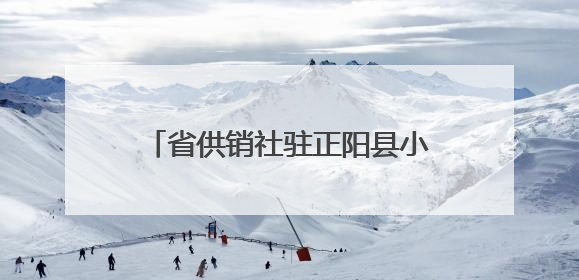 省供销社驻正阳县小陈村工作队 助力“三夏”护航丰收之路