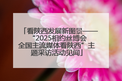 看陕西发展新图景——“2025相约丝博会 全国主流媒体看陕西”主题采访活动见闻