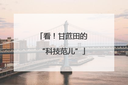 看！甘蔗田的“科技范儿”