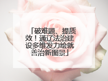 破难题、提质效！通辽法治建设多维发力绘就善治新图景