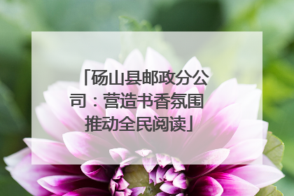 砀山县邮政分公司：营造书香氛围 推动全民阅读