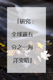 研究：全球逾五分之一海洋变暗