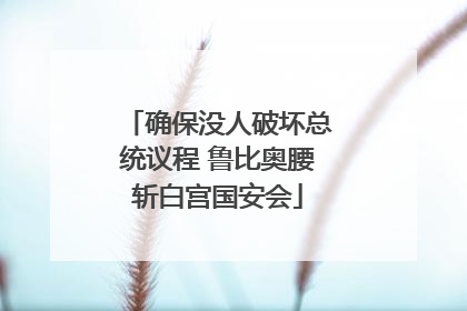 确保没人破坏总统议程 鲁比奥腰斩白宫国安会