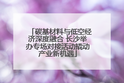 碳基材料与低空经济深度融合 长沙举办专场对接活动撬动产业新机遇
