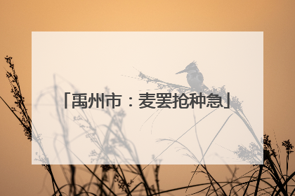 禹州市：麦罢抢种急