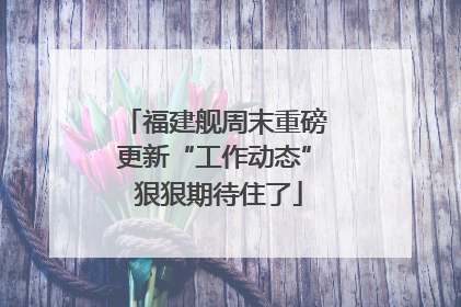 福建舰周末重磅更新“工作动态” 狠狠期待住了