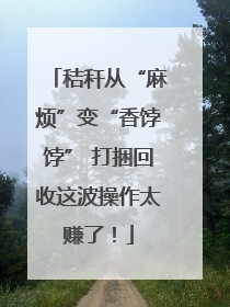秸秆从“麻烦”变“香饽饽” 打捆回收这波操作太赚了！