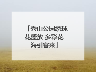 秀山公园绣球花盛放 多彩花海引客来