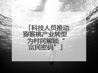科技人员推动猕猴桃产业转型 为村民解锁“富民密码”