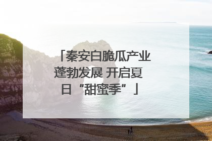 秦安白脆瓜产业蓬勃发展 开启夏日“甜蜜季”