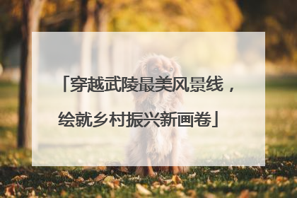 穿越武陵最美风景线，绘就乡村振兴新画卷