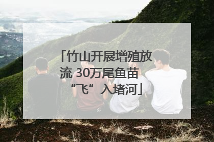 竹山开展增殖放流 30万尾鱼苗“飞”入堵河