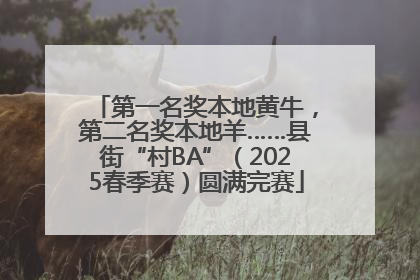 第一名奖本地黄牛，第二名奖本地羊……县街“村BA”（2025春季赛）圆满完赛